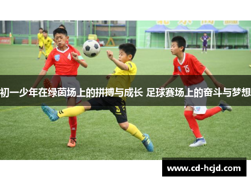 初一少年在绿茵场上的拼搏与成长 足球赛场上的奋斗与梦想