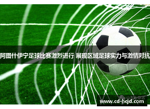 阿图什伊宁足球比赛激烈进行 展现区域足球实力与激情对抗