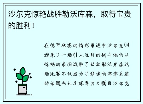 沙尔克惊艳战胜勒沃库森，取得宝贵的胜利！